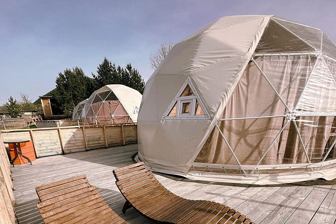 Лисички-сестрички, Самарская область: фото 5