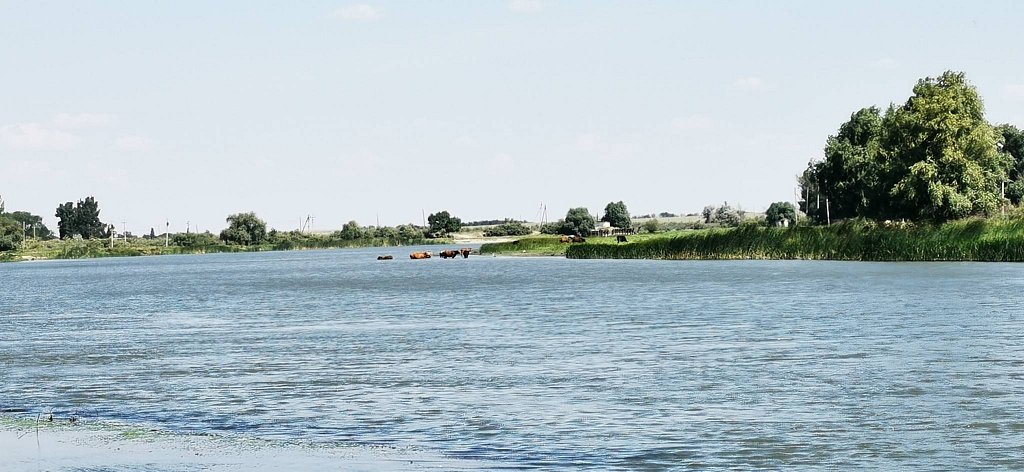 Фото из отзыва от 25.07.2025