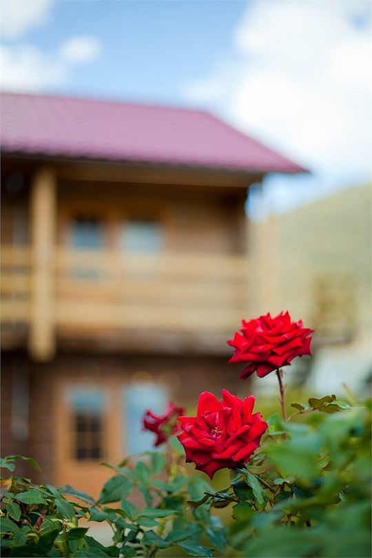 Самоцветы, Крым: фото 3