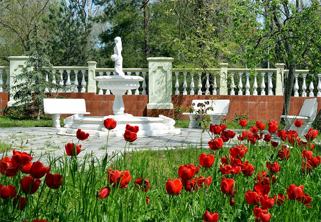 База Светлая, Крым: фото 4