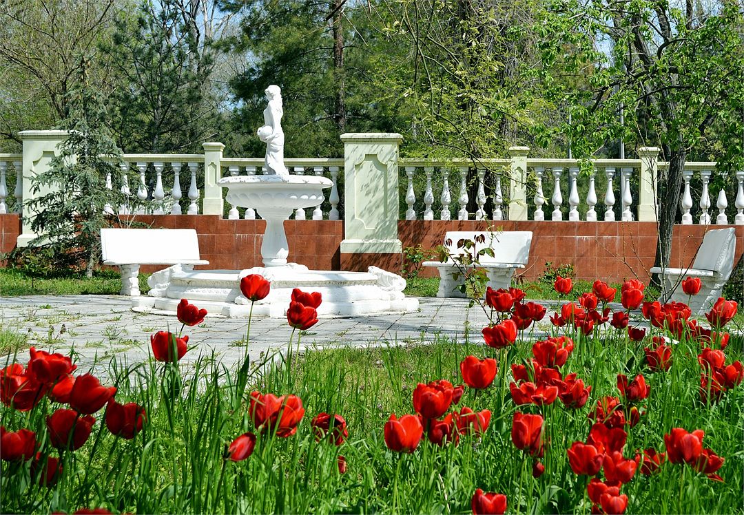 База Светлая, Крым: фото 4