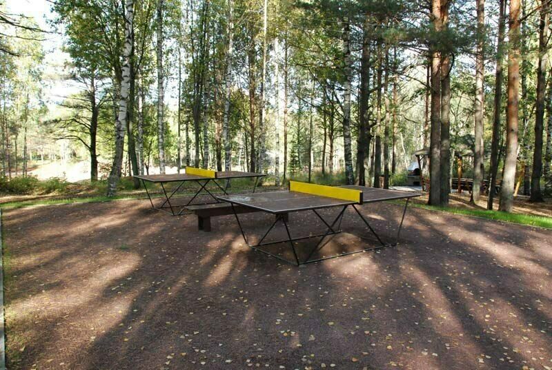 Настольный теннис | Балтика, Ленинградская область