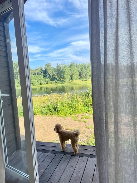 Фото из отзыва от 26.07.2025