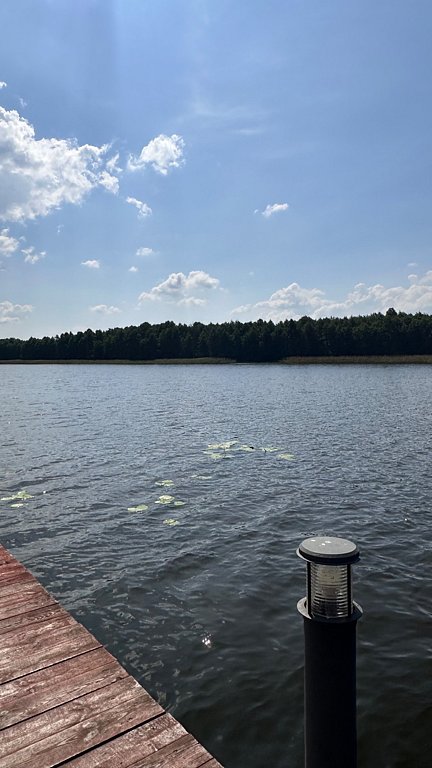 Фото из отзыва от 26.07.2025