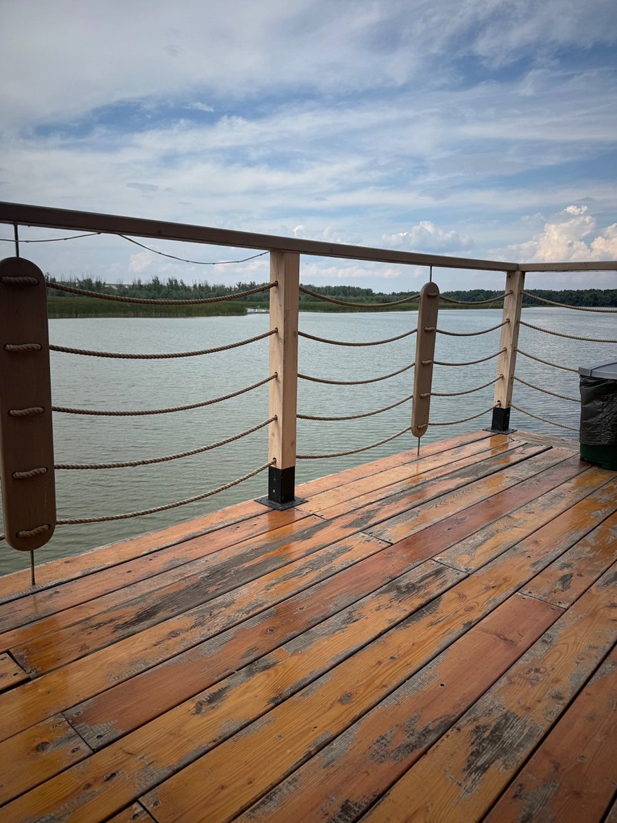 Фото 81 из отзыва о базе отдыха Донская Миля