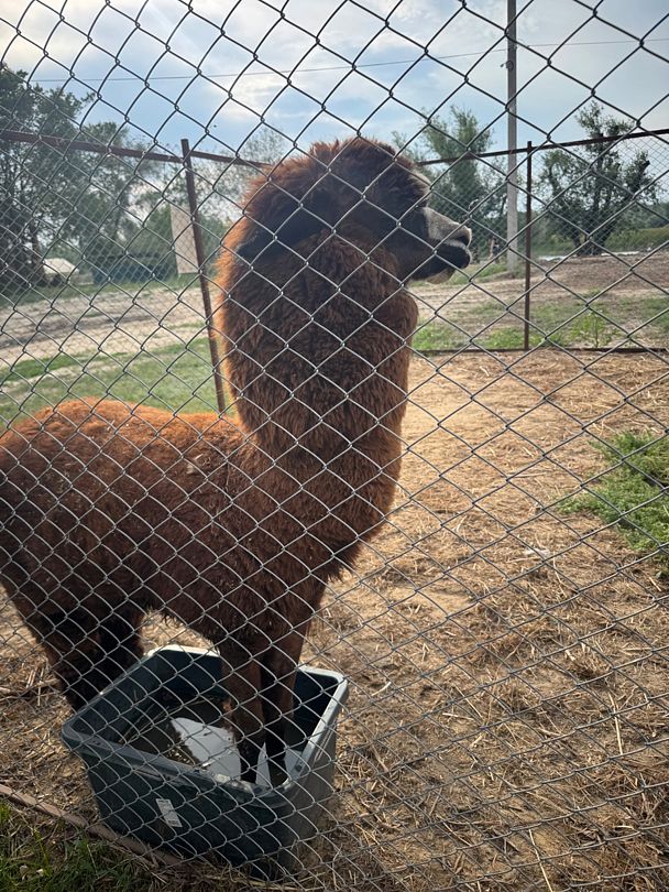 Фото 1 из отзыва о базе отдыха Донская Миля