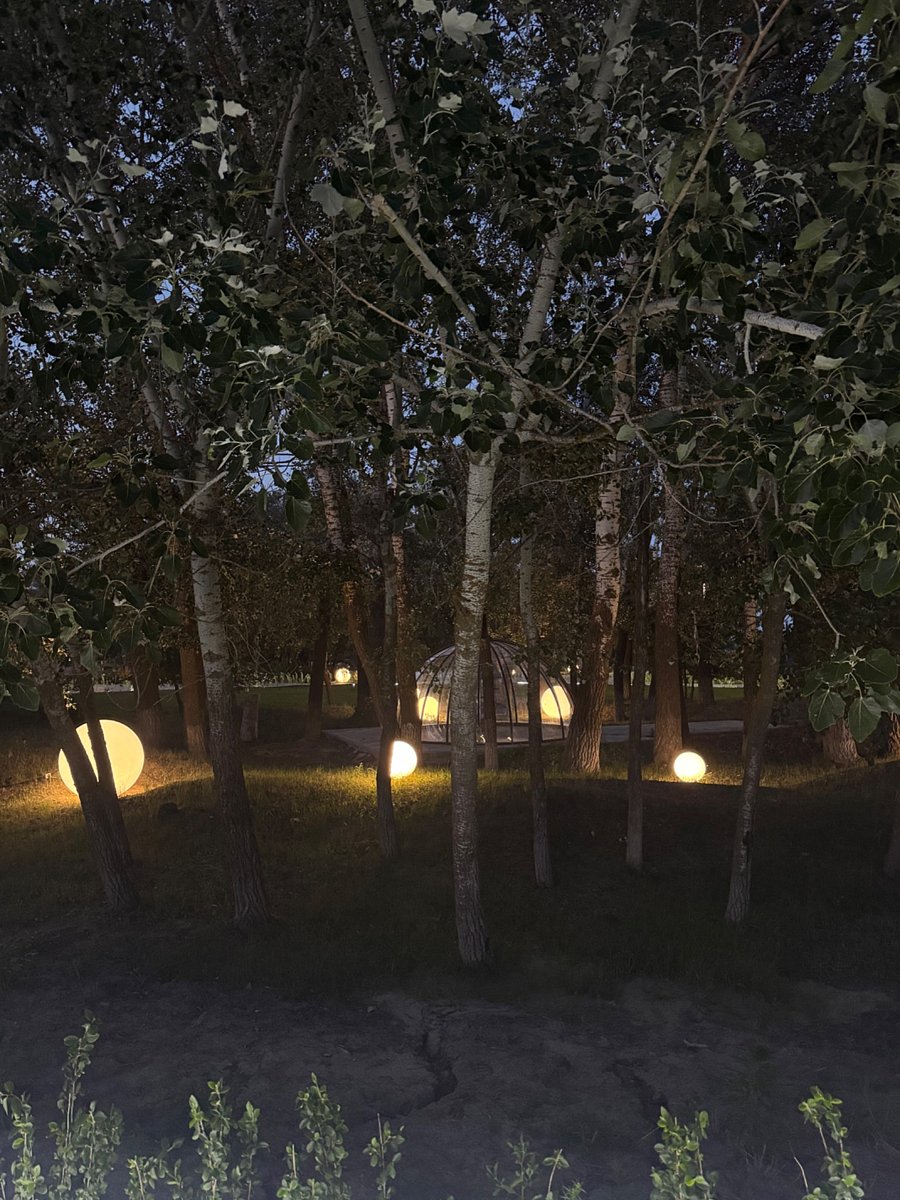 Фото 86 из отзыва о базе отдыха Донская Миля