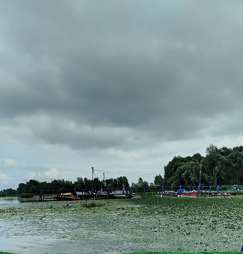 Фото 1 из отзыва о базе отдыха Фокино-Приволжье