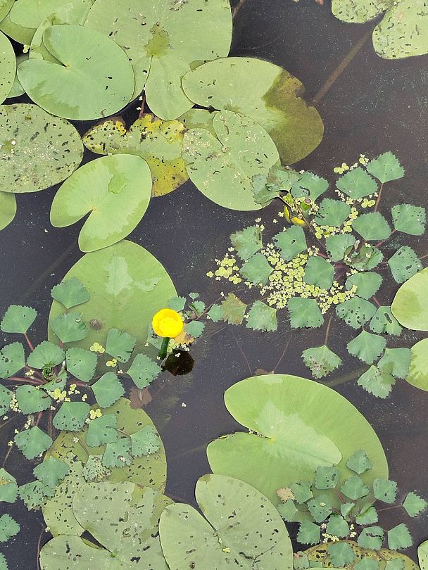 Фото 2 из отзыва о базе отдыха Фокино-Приволжье