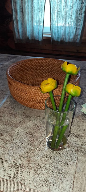 Фото 3 из отзыва об эко-комплексе База отдыха и экоферма Старый Сиг