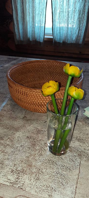 Фото 3 из отзыва об эко-комплексе База отдыха и экоферма Старый Сиг