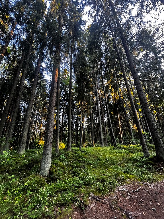 Фото из отзыва от 24.07.2025