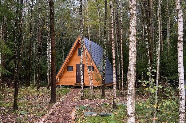 KLEVER HOUSE - Хиттолово, Ленинградская область: фото 3