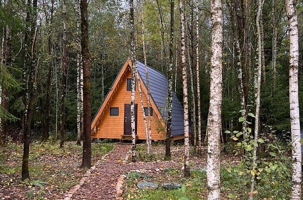 Клевер Хиттолово, Ленинградская область: фото 3