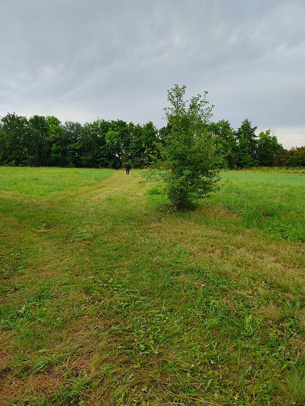 Фото 2 из отзыва о доме в аренду Волшебница