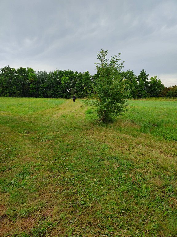 Фото из отзыва от 14.07.2025