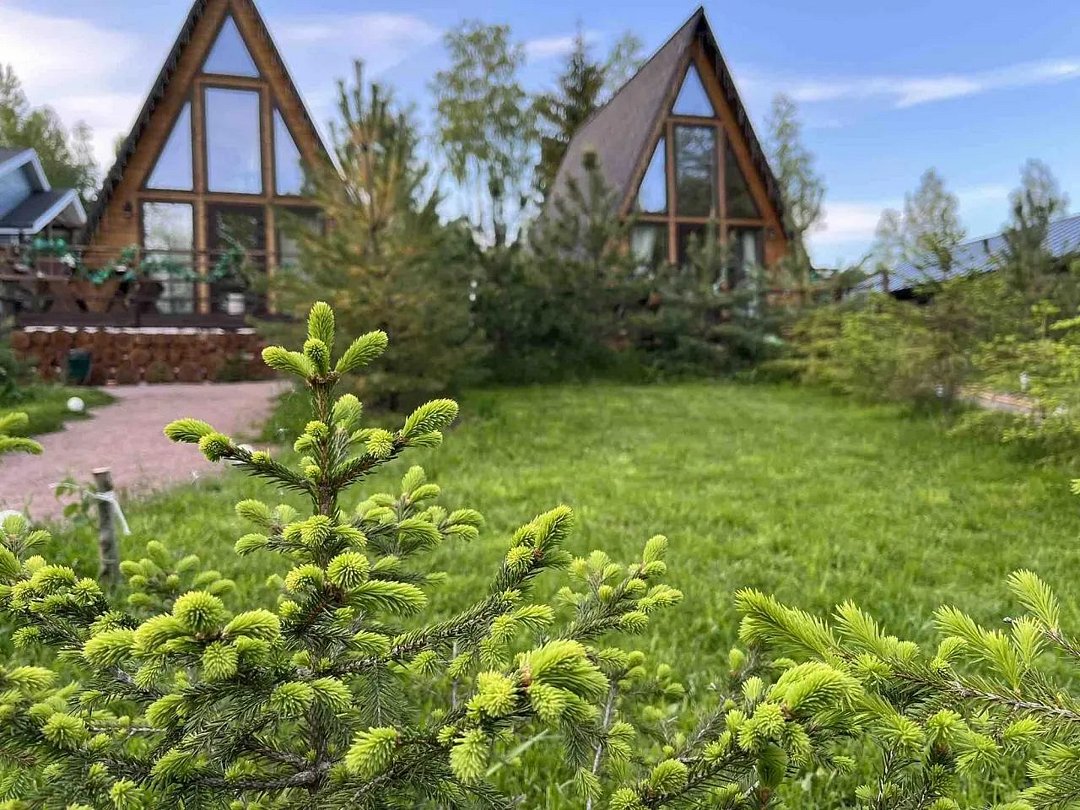 Гостевой дом Рай в шалаше, Ленинградская область, Светлое поселок Коробицыно поселок Мичуринское