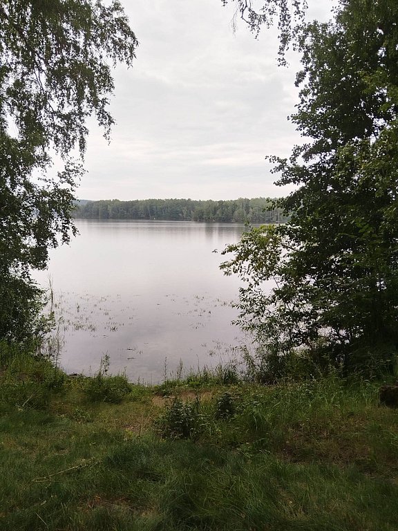 Фото из отзыва от 21.07.2025