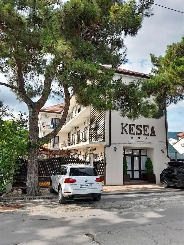 KESEA, Краснодарский край: фото 4