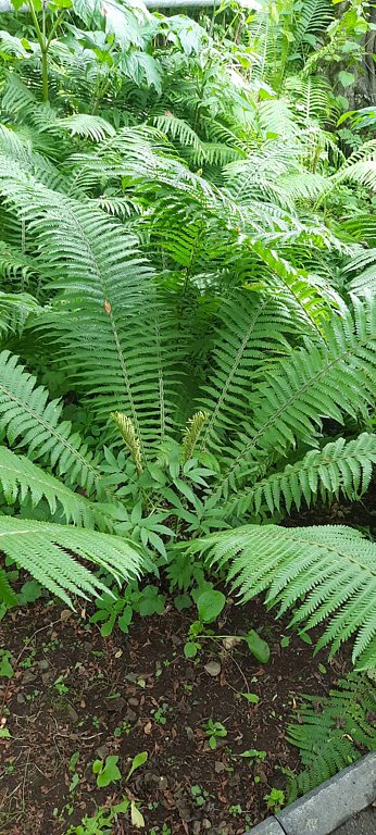 Фото из отзыва от 28.07.2025