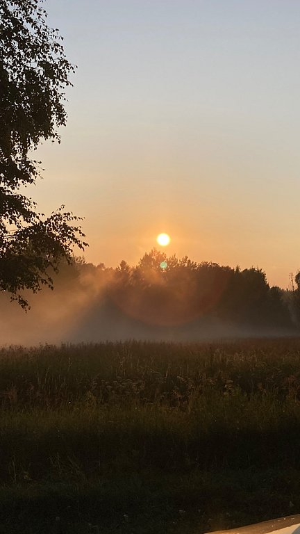 Фото из отзыва от 25.07.2025