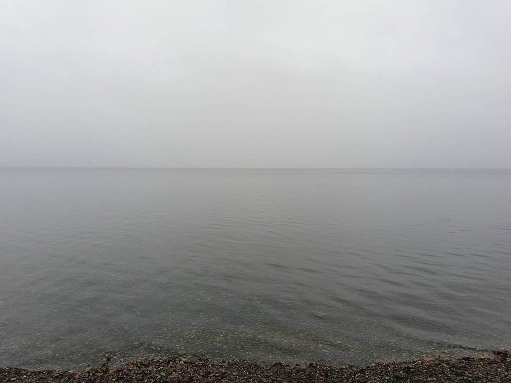 Фото из отзыва от 28.07.2025