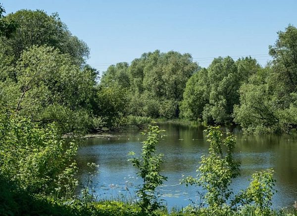 Река Коломенка