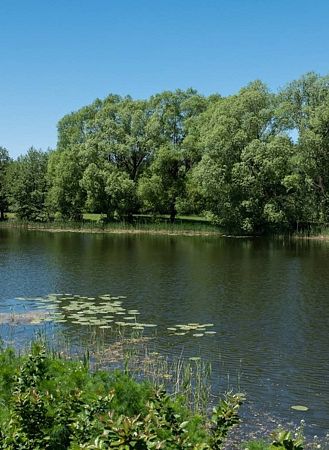 Река Коломенка