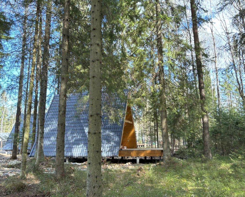 Загородные дома Klever House Экофорест, Ленинградская область: фото 2