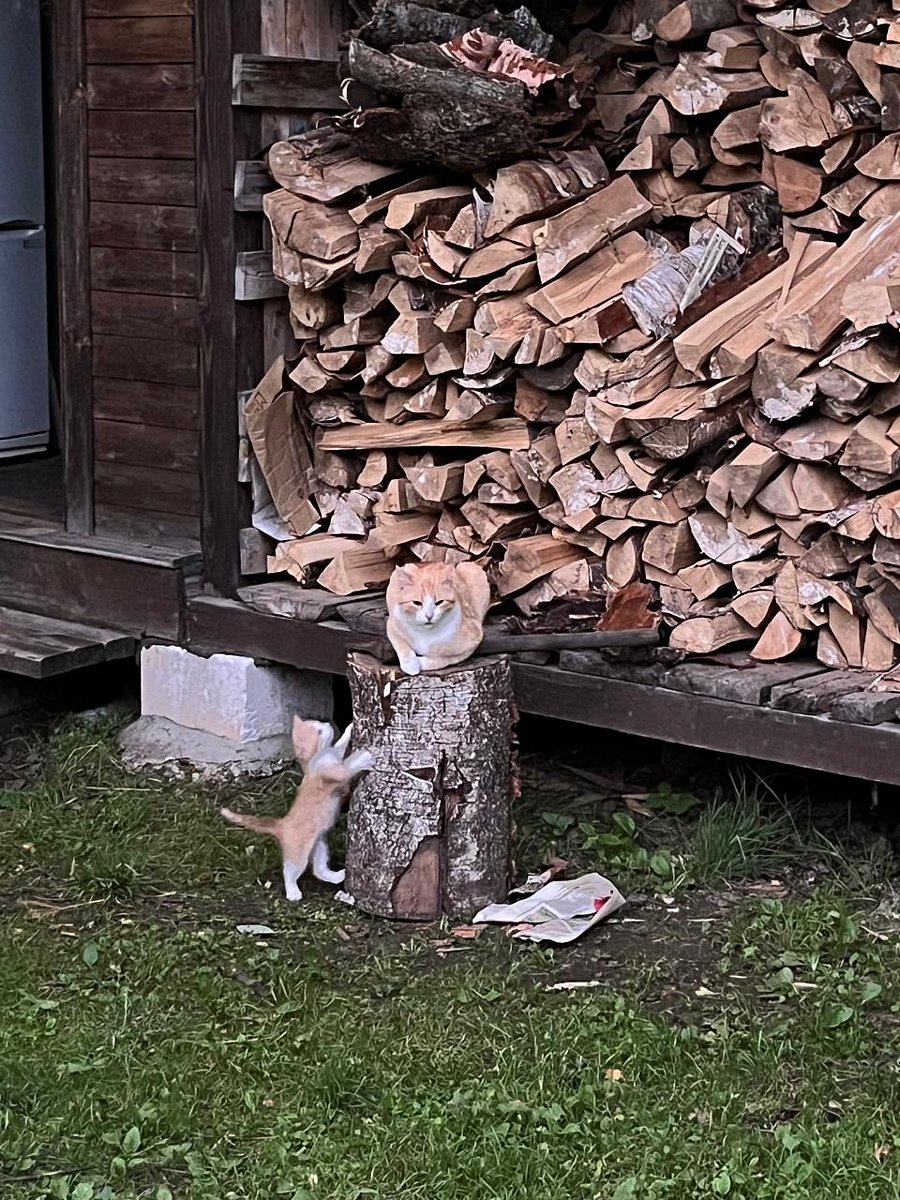 Фото 13 из отзыва о коттеджном комплексе Светозар