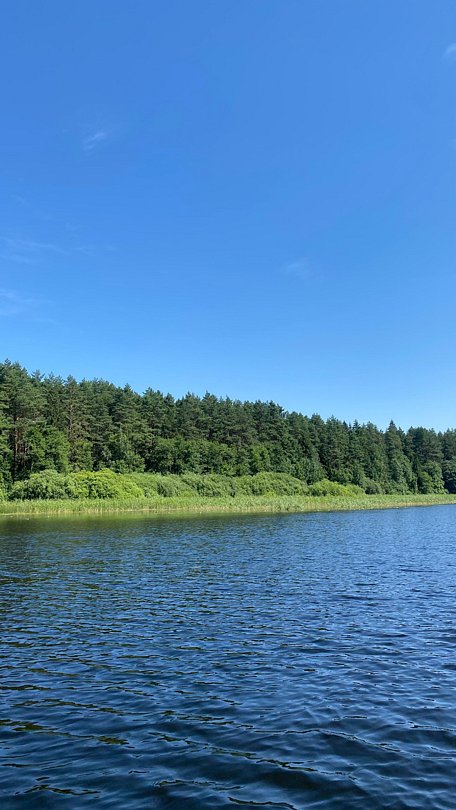 Фото 2 из отзыва о коттеджном комплексе Светозар