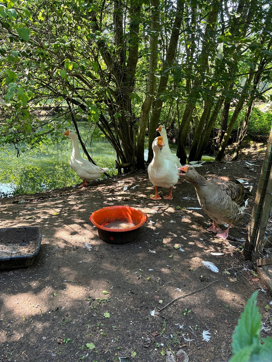 Фото 11 из отзыва о коттеджном комплексе Светозар