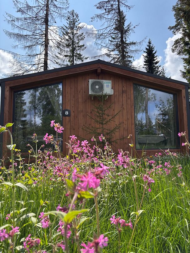 Гостевые дома Клевер Стеклянный ручей, Ленинградская область: фото 2