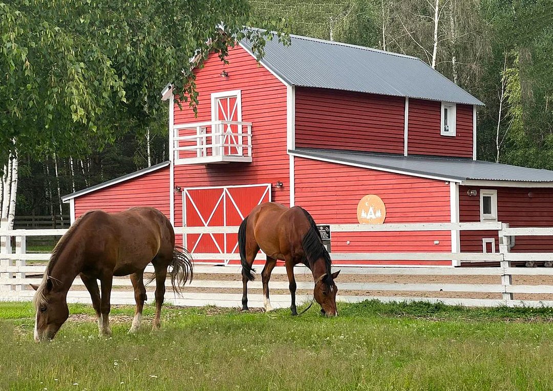А-Ферма, Московская область: фото 3