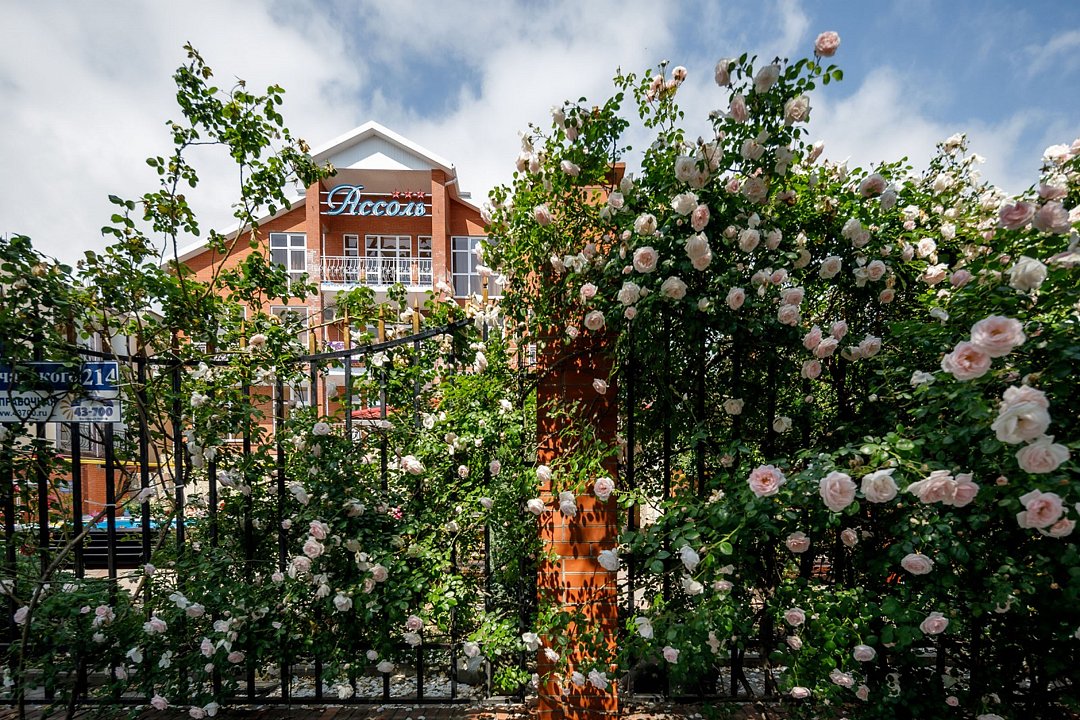 Ассоль, Краснодарский край: фото 3