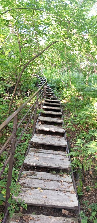 Фото из отзыва от 27.07.2025