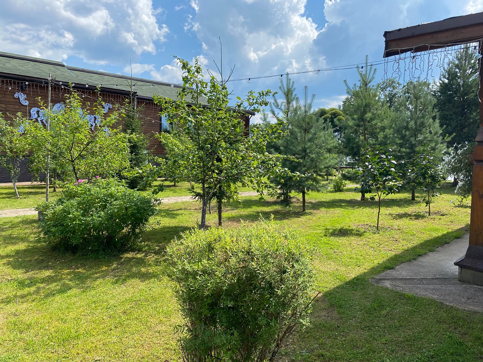 Фото 5 из отзыва об эко-комплексе СДЛ