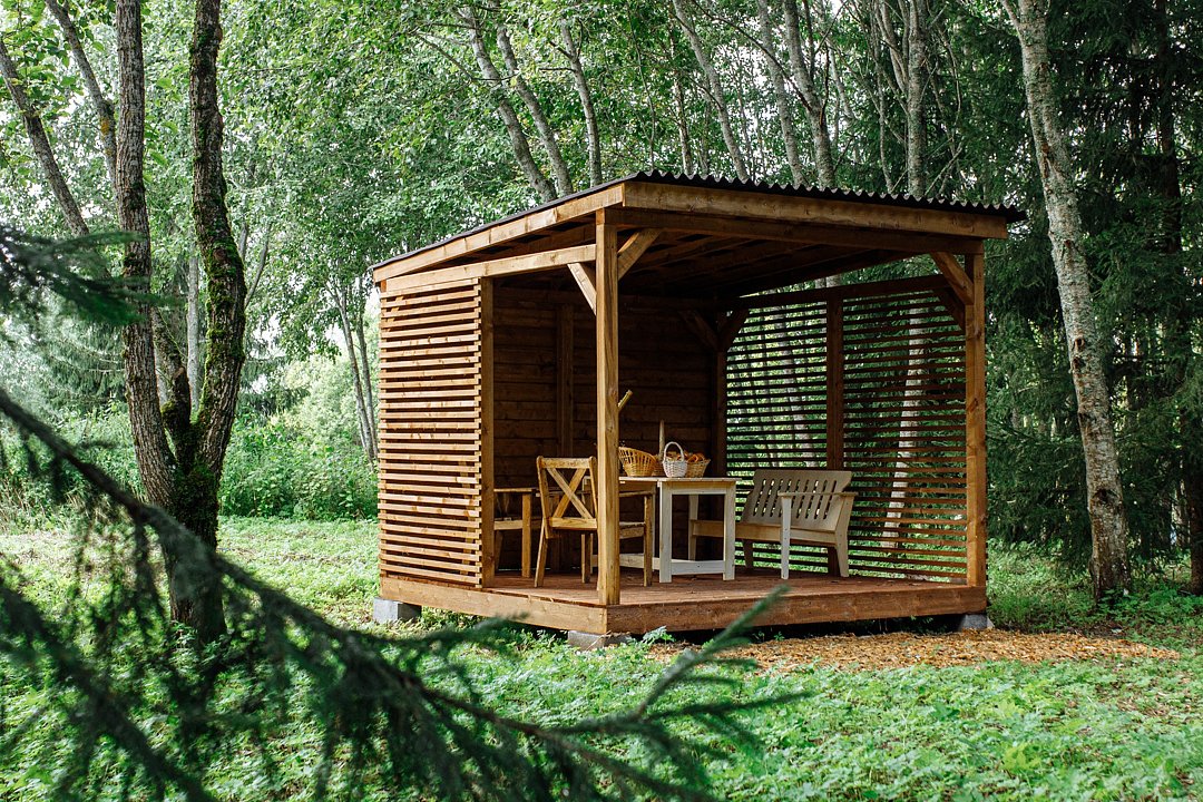 Лисья Дача, Ленинградская область: фото 4