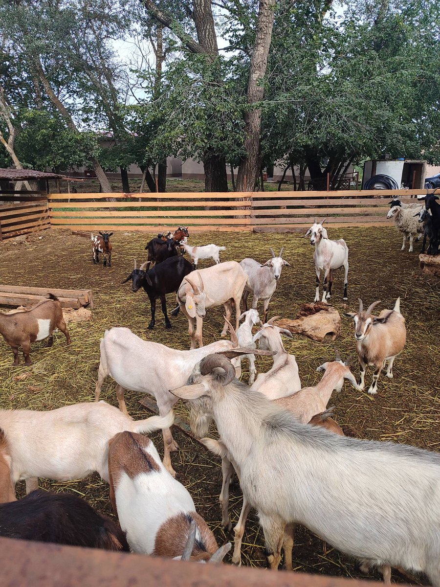 Фото 102 из отзыва о базе отдыха Донская Миля