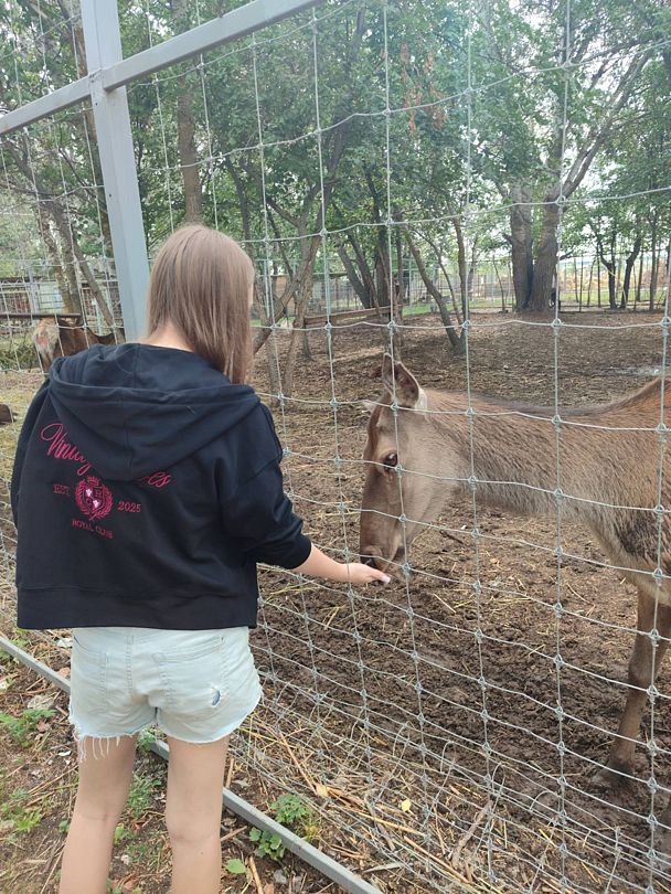 Фото 4 из отзыва о базе отдыха Донская Миля