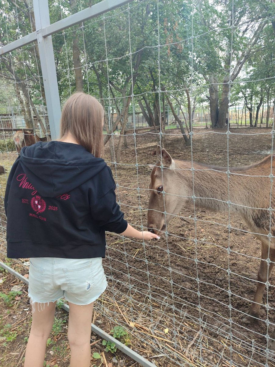Фото 105 из отзыва о базе отдыха Донская Миля