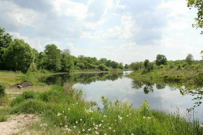 Пляж | Коминтерновец, Воронежская область