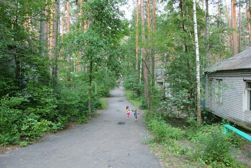 Территория | Коминтерновец, Воронежская область