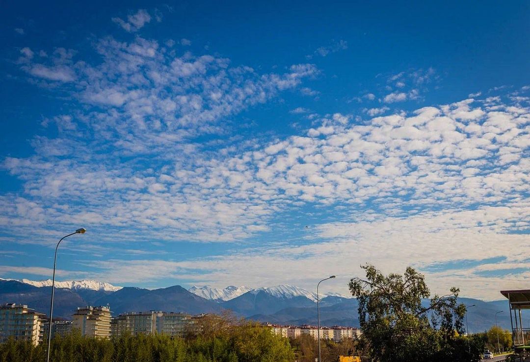 Стандартный 3-местный (№23)