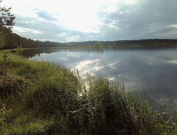 Река Ивкинка