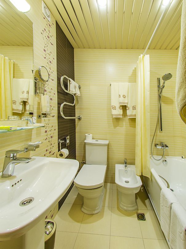 Джуниор Сьют 2-местный 1-комнатный (Сакура)