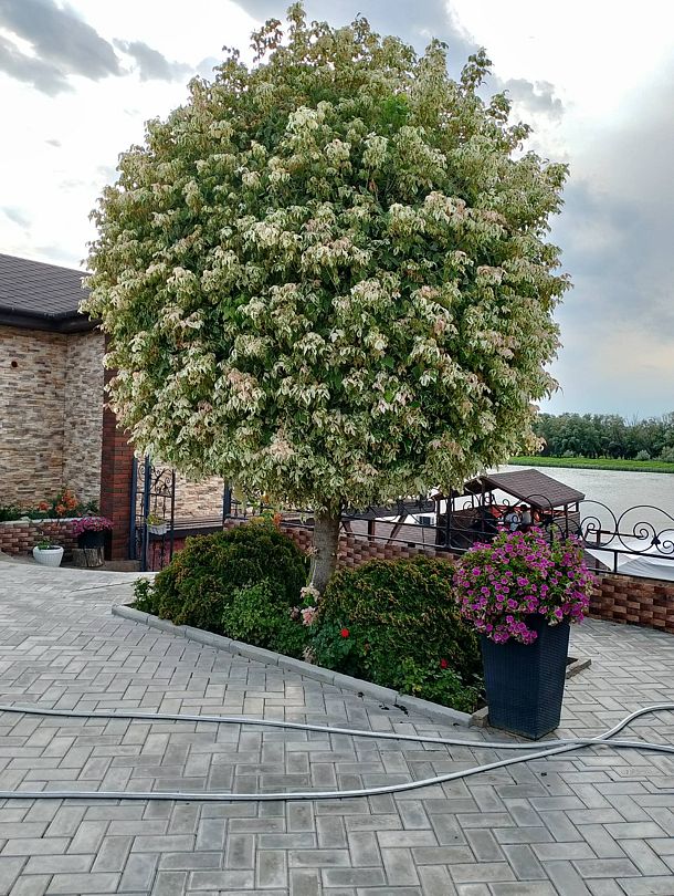 Фото 2 из отзыва о гостевом доме Атмосфера