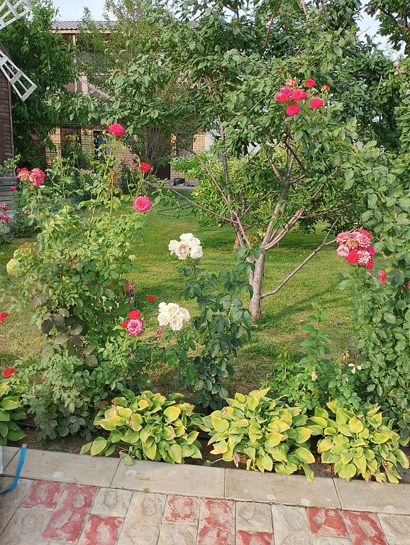 Фото из отзыва от 02.08.2025