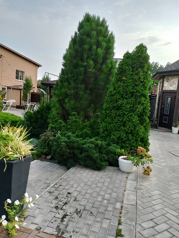 Фото 4 из отзыва о гостевом доме Атмосфера