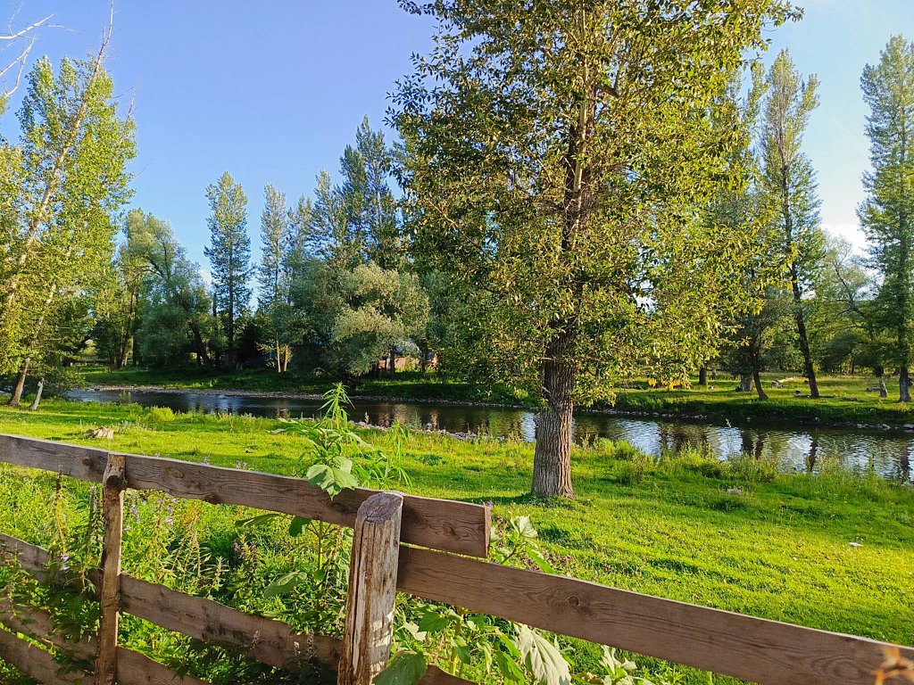 Фото из отзыва от 25.07.2025